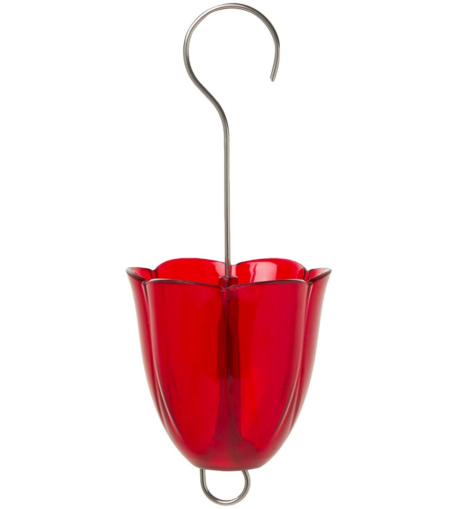 Droll Yankees Ant Moat for Hummingbird Feeders