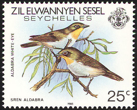 Aldabra White-eye
