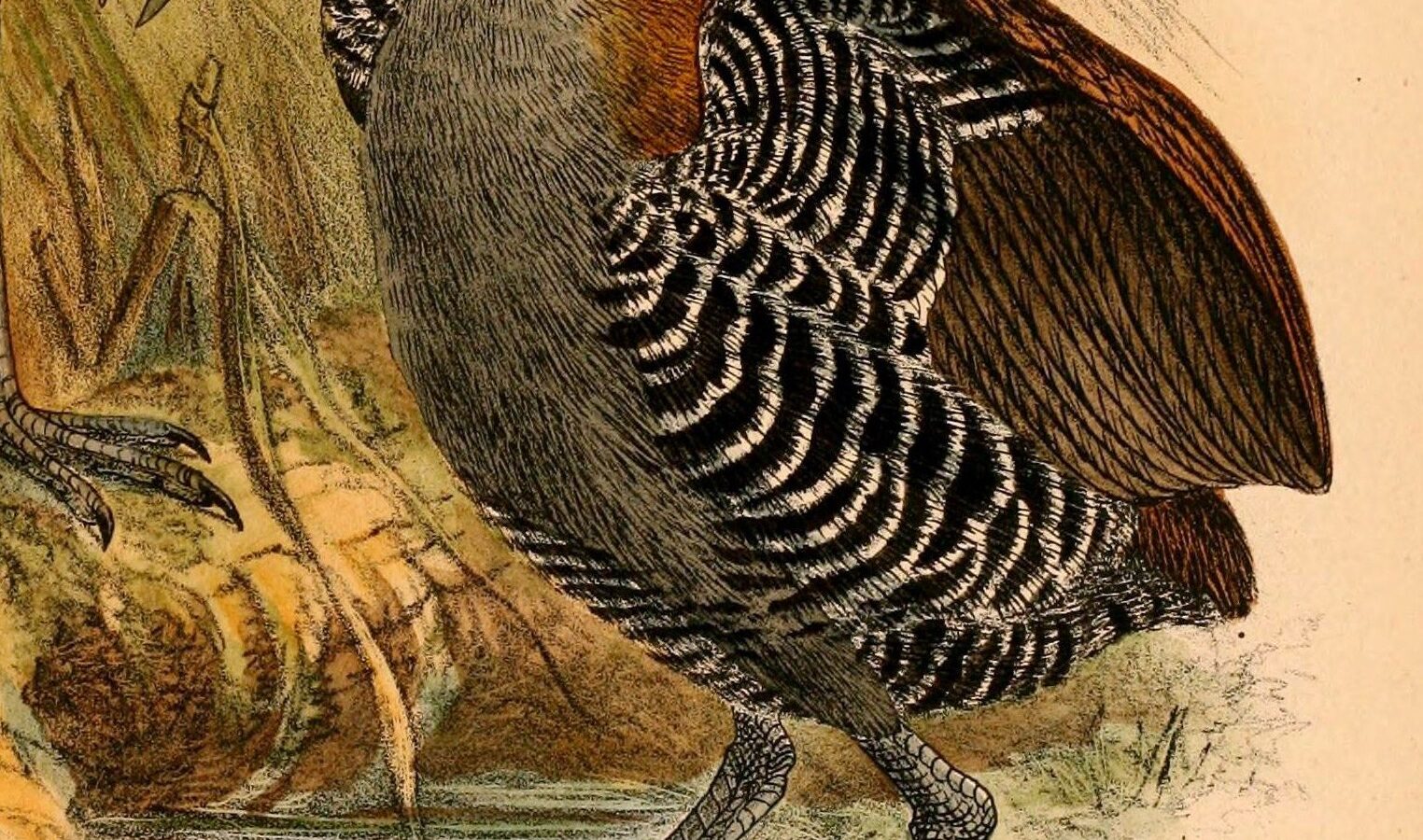 Snoring Rail