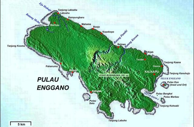 Enggano Imperial Pigeon