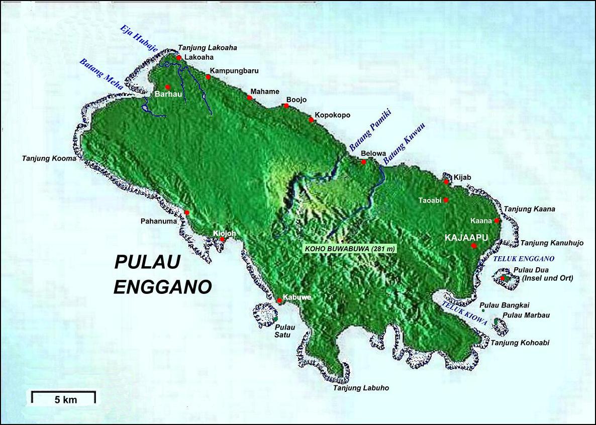 Enggano Imperial Pigeon