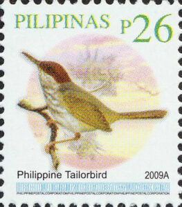 Visayan Tailorbird