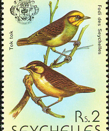 Seychelles Fody
